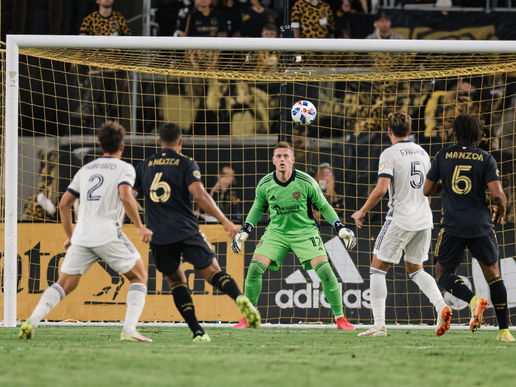 致力于推动 致力于推动